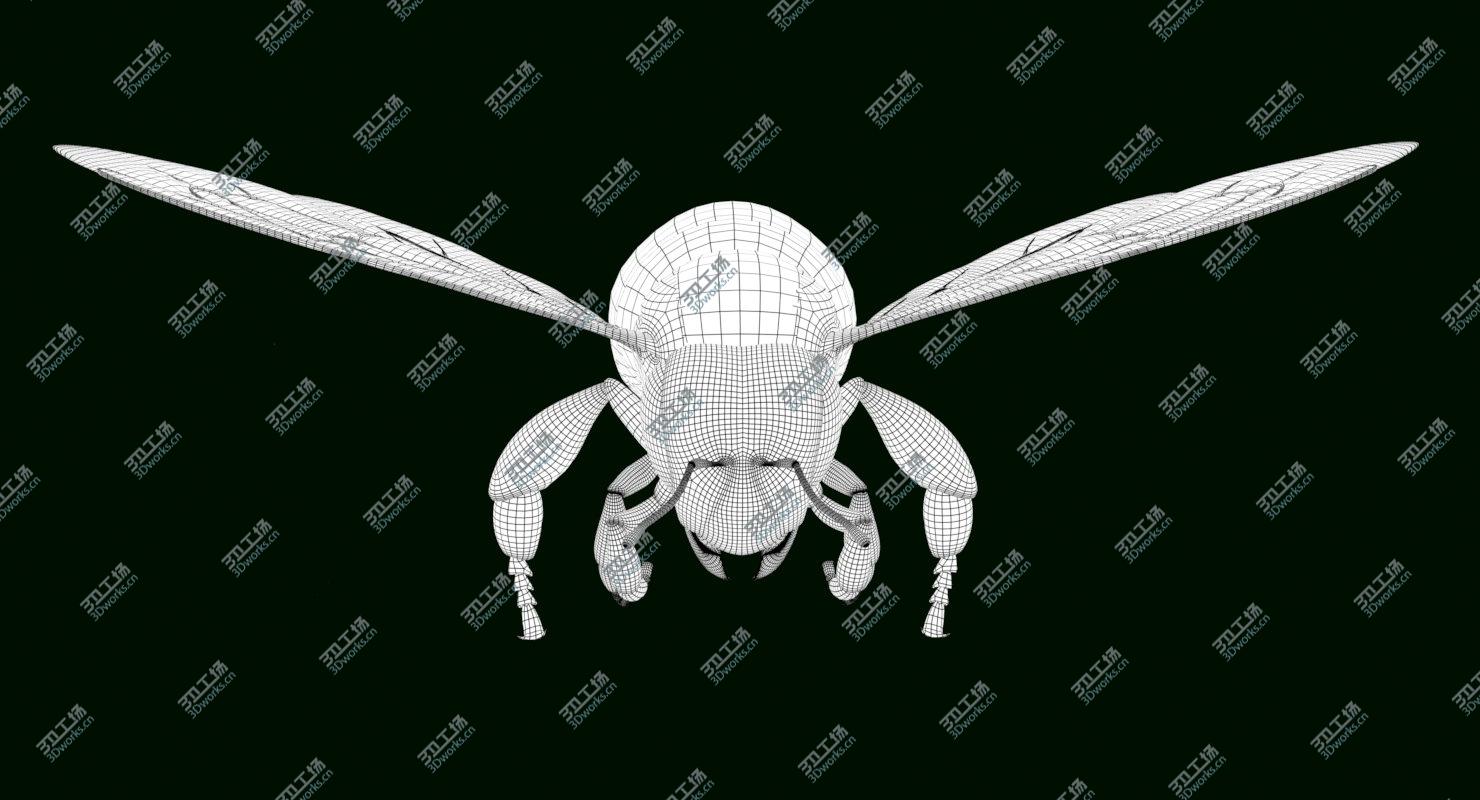 images/goods_img/2021040234/Bee Rigged and Animated/4.jpg